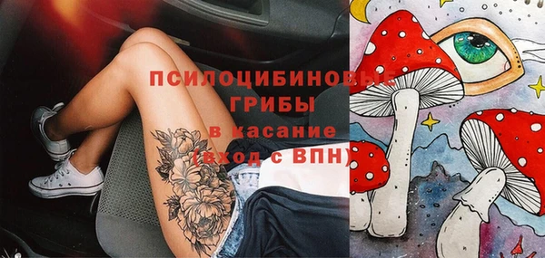 МДПВ Михайловск